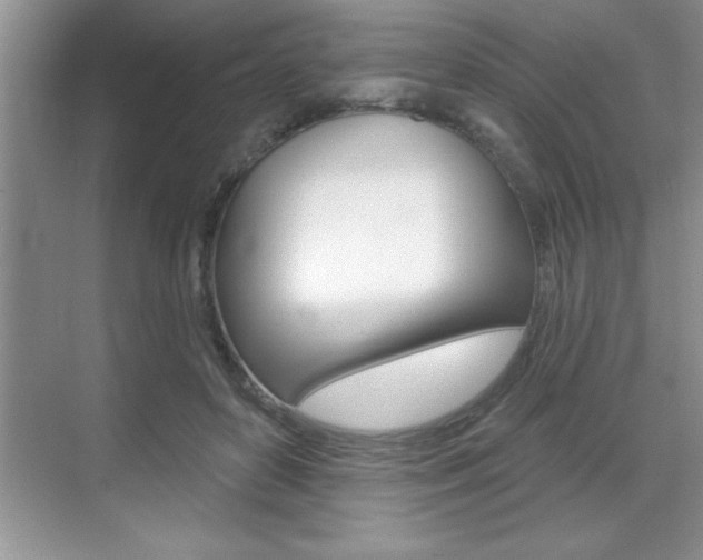 X0000070360504200606090803