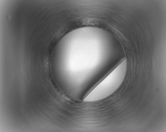 X0000070360513200606090803