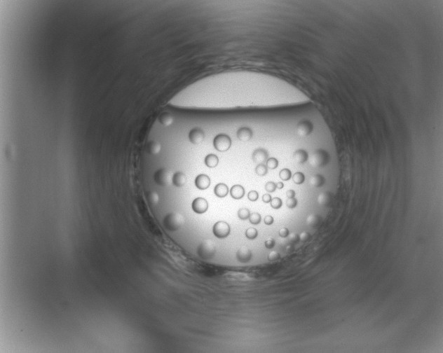 X0000070360519200606090803