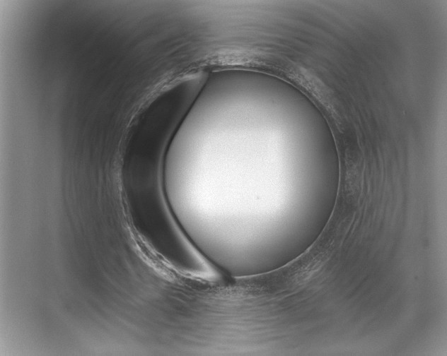 X0000070360530200606090802