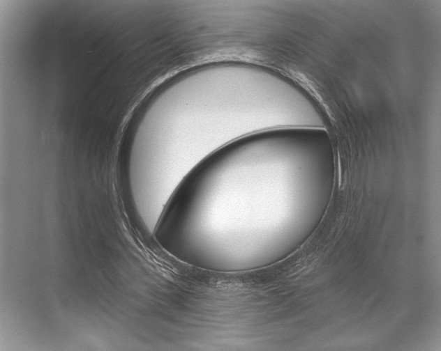 X0000070360531200606090802