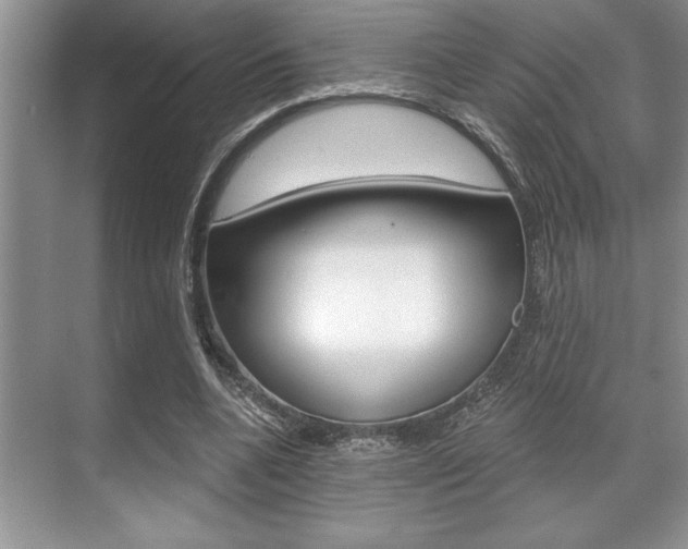 X0000070360536200606090802