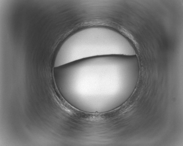 X0000070360537200606090802