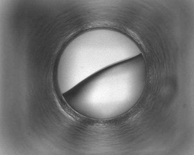 X0000070360538200606090802