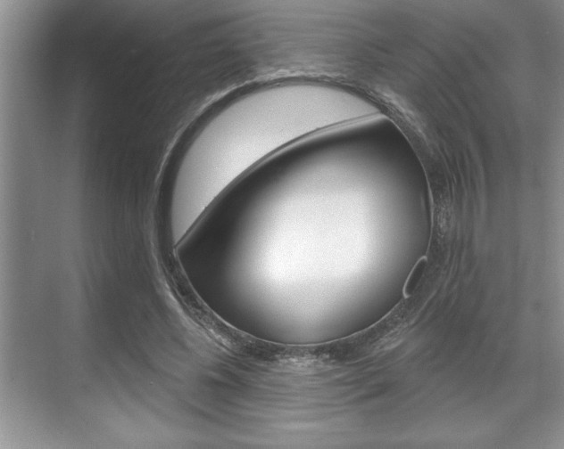X0000070360540200606090802