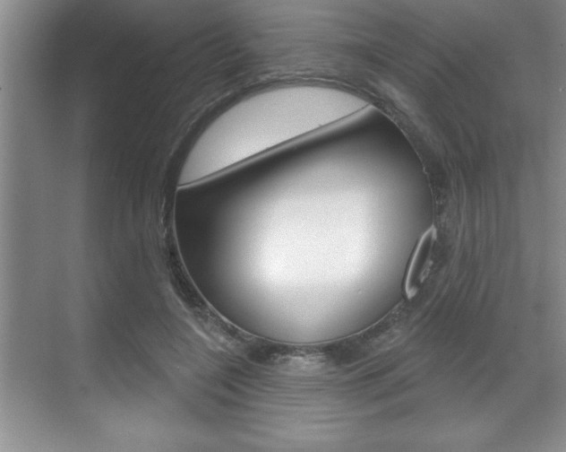 X0000070360548200606090802