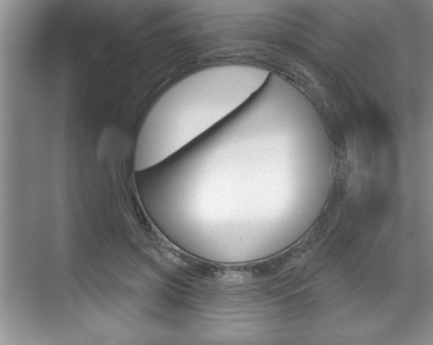 X0000070360549200606090802