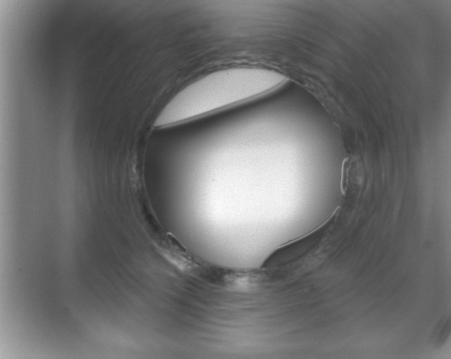 X0000070360564200606090803