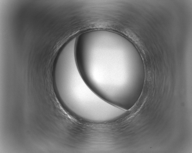 X0000070360577200606090802