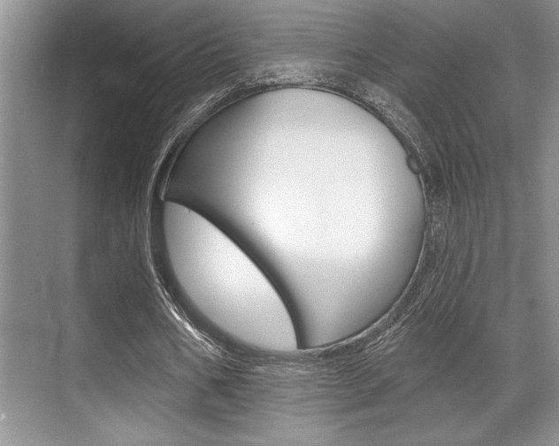 X0000070360578200606090802