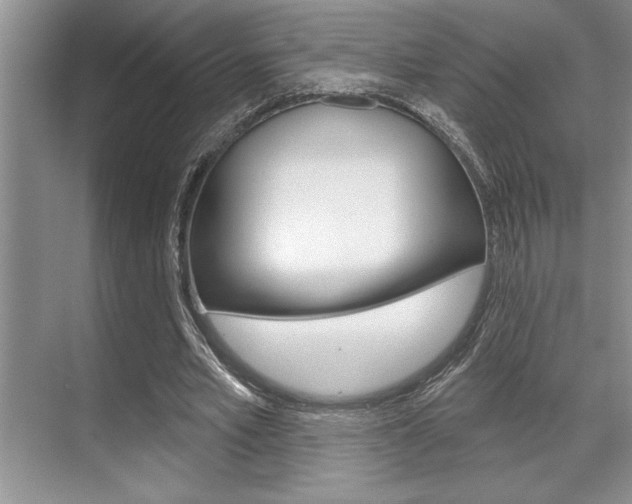 X0000070360581200606090802