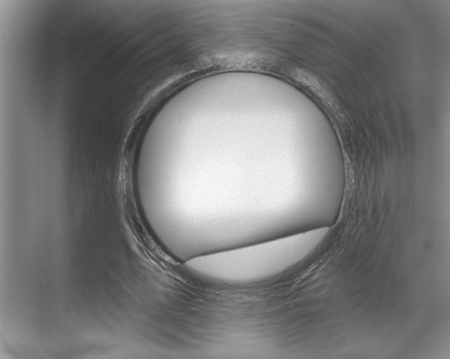 X0000070360583200606090802