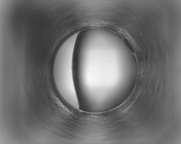 X0000070360585200606090802