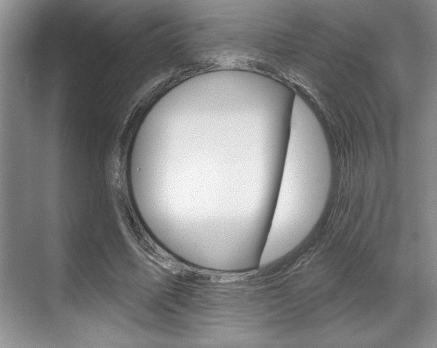 X0000070360587200606090802