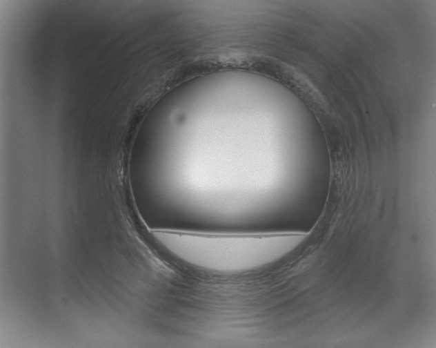 X0000070360593200606090802
