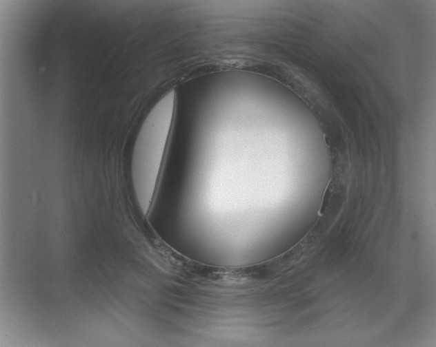 X0000070360601200606090802