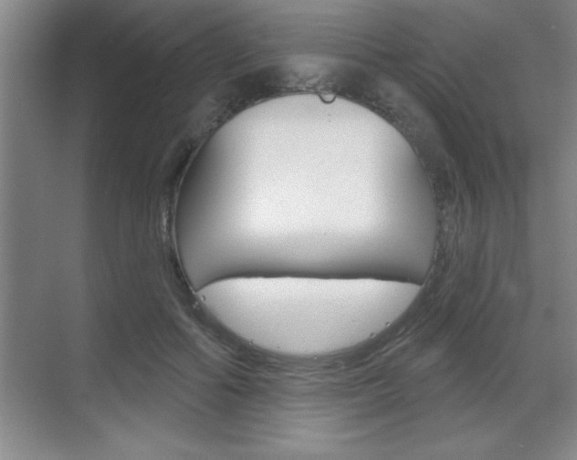 X0000070360602200606090802