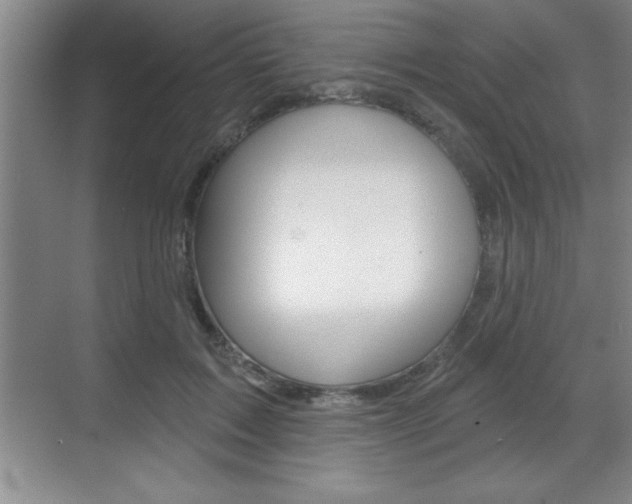 X0000070360603200606090802