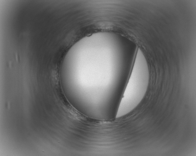 X0000070360609200606090802