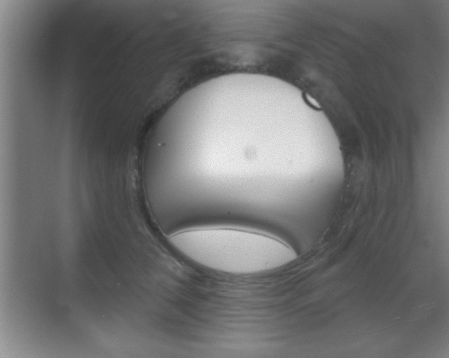 X0000070360612200606090801