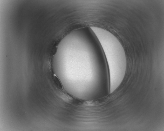 X0000070360613200606090801