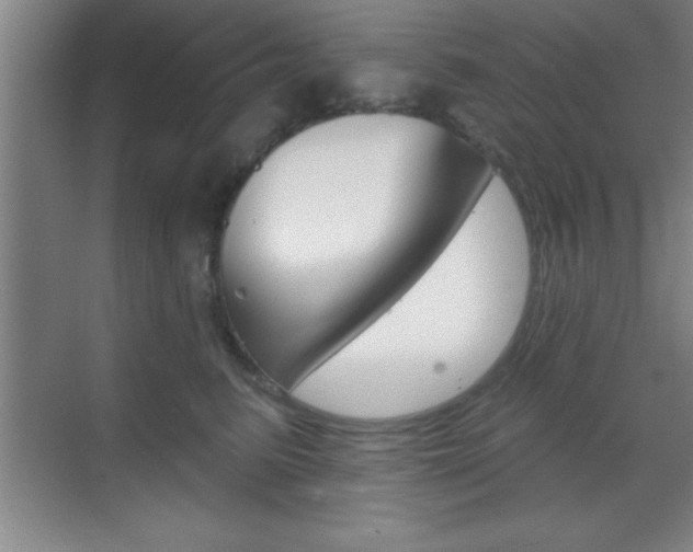 X0000070360615200606090801