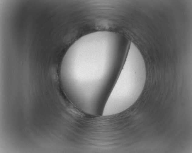 X0000070360616200606090801