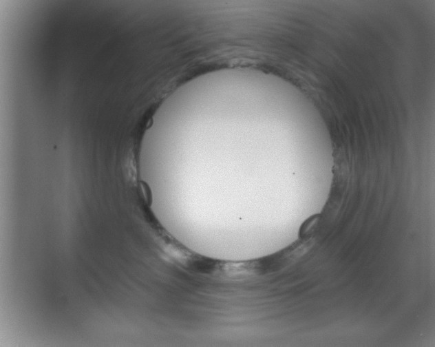 X0000070360622200606090801