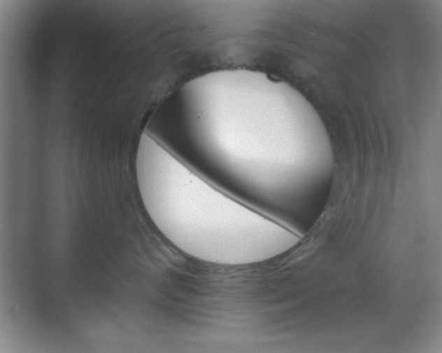 X0000070360624200606090801