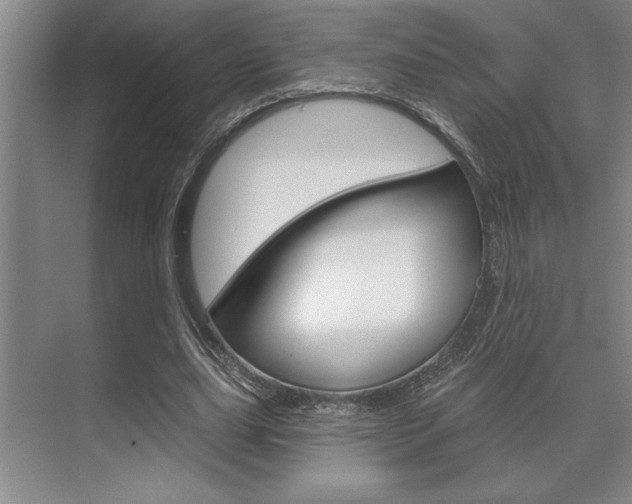 X0000070360631200606090801