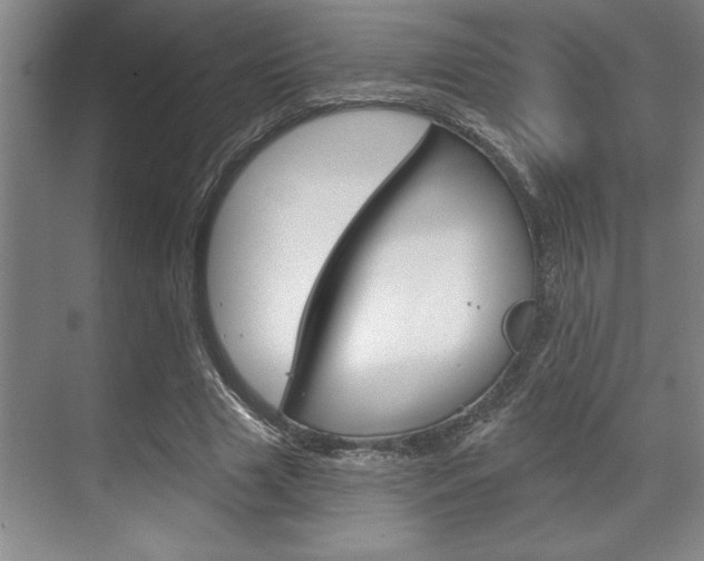 X0000070360633200606090801