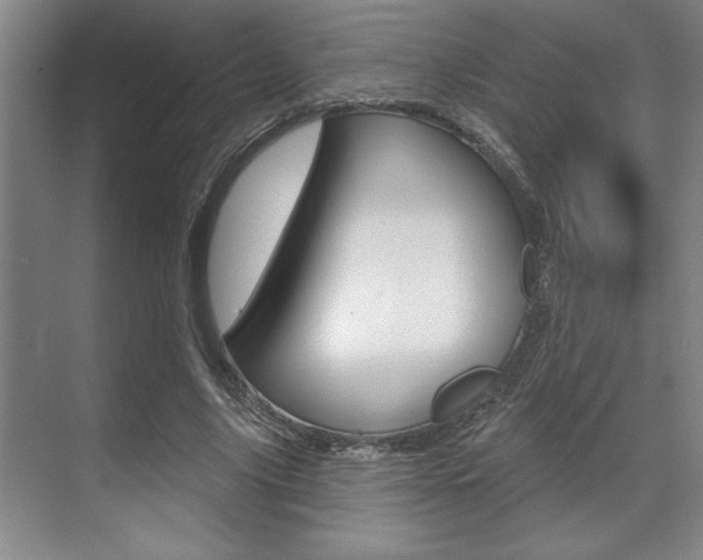 X0000070360635200606090801
