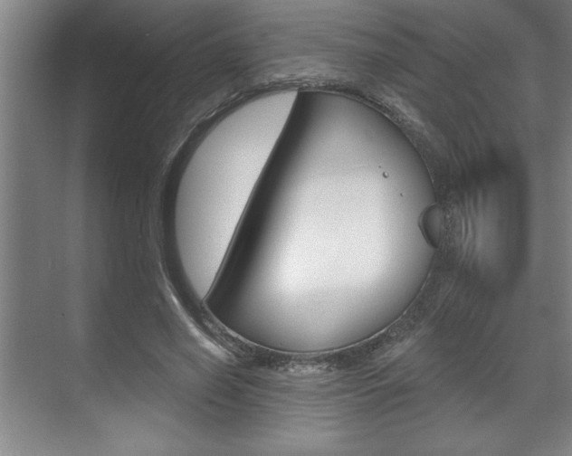 X0000070360638200606090801