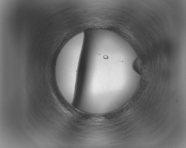 X0000070360642200606090801