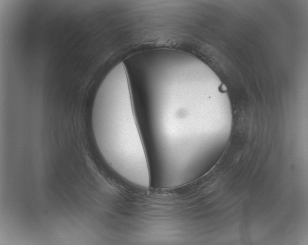 X0000070360643200606090801