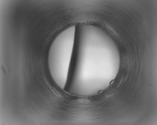 X0000070360644200606090801