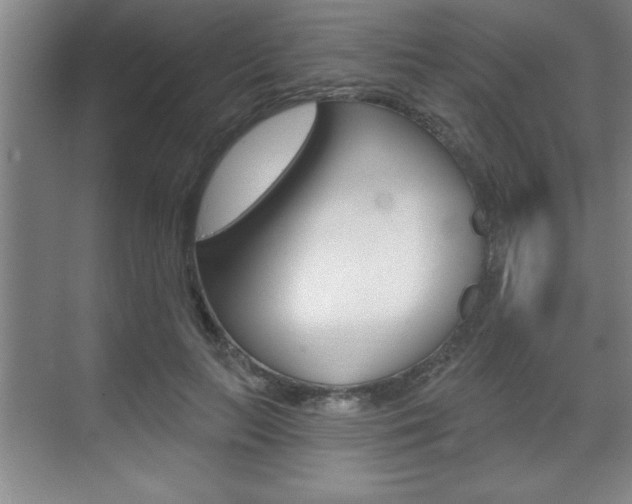 X0000070360647200606090801