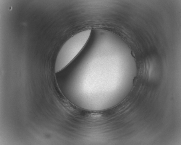 X0000070360651200606090801