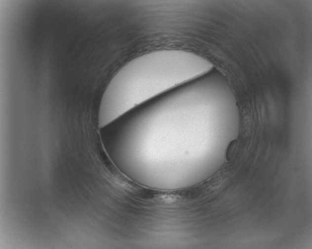 X0000070360654200606090801
