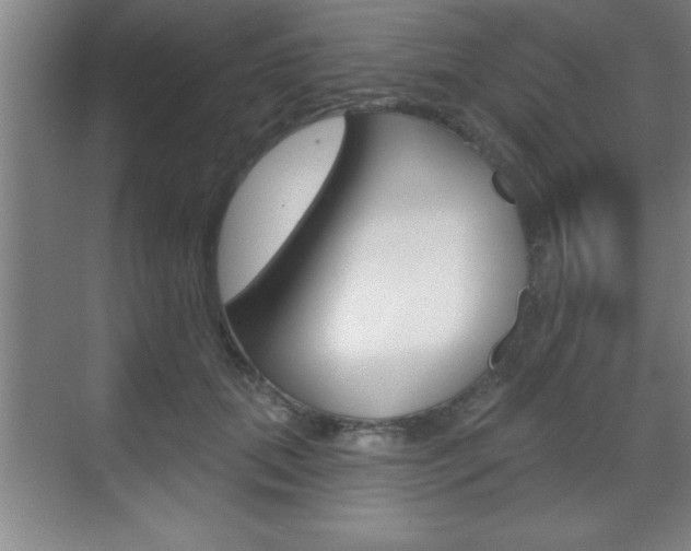 X0000070360655200606090801
