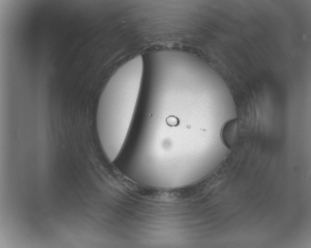 X0000070360656200606090801