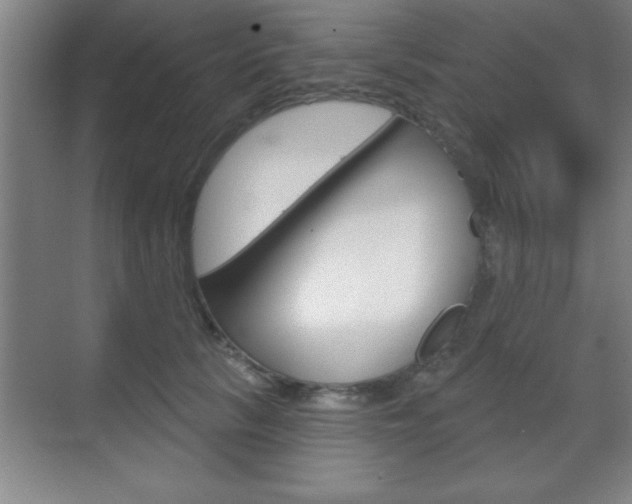 X0000070360657200606090801