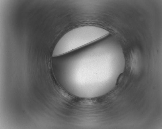 X0000070360661200606090801