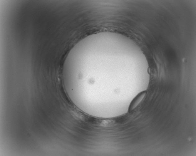 X0000070360663200606090801