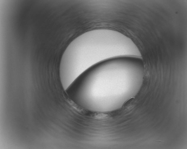 X0000070360669200606090801