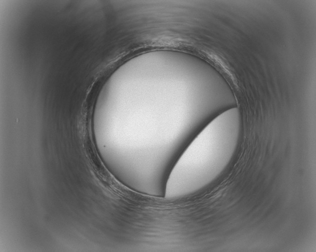 X0000070360675200606090800