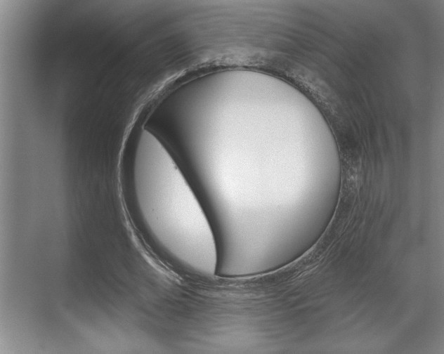 X0000070360678200606090800