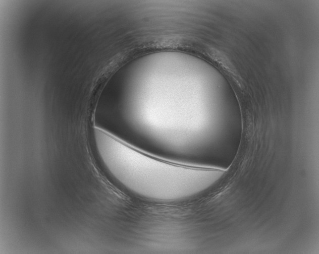 X0000070360681200606090800