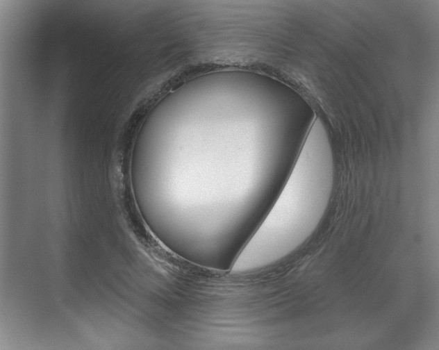 X0000070360688200606090800