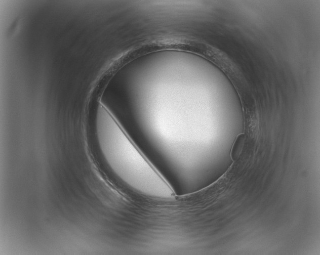 X0000070360732200606090759